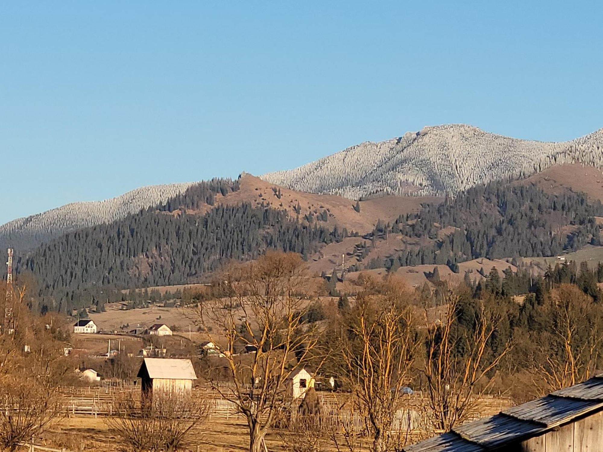 Casa Abp Villa Vatra Dornei Buitenkant foto