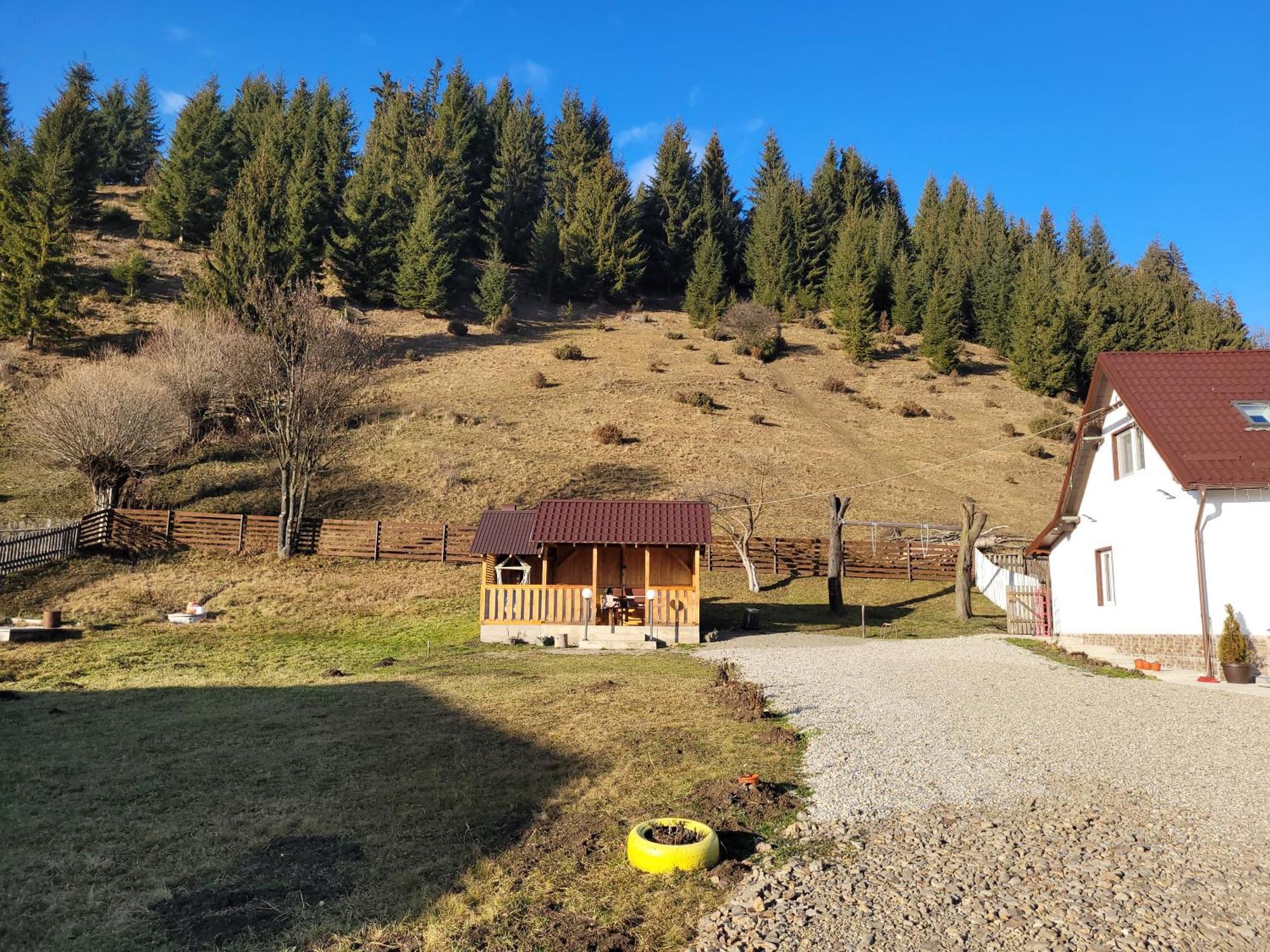 Casa Abp Villa Vatra Dornei Buitenkant foto
