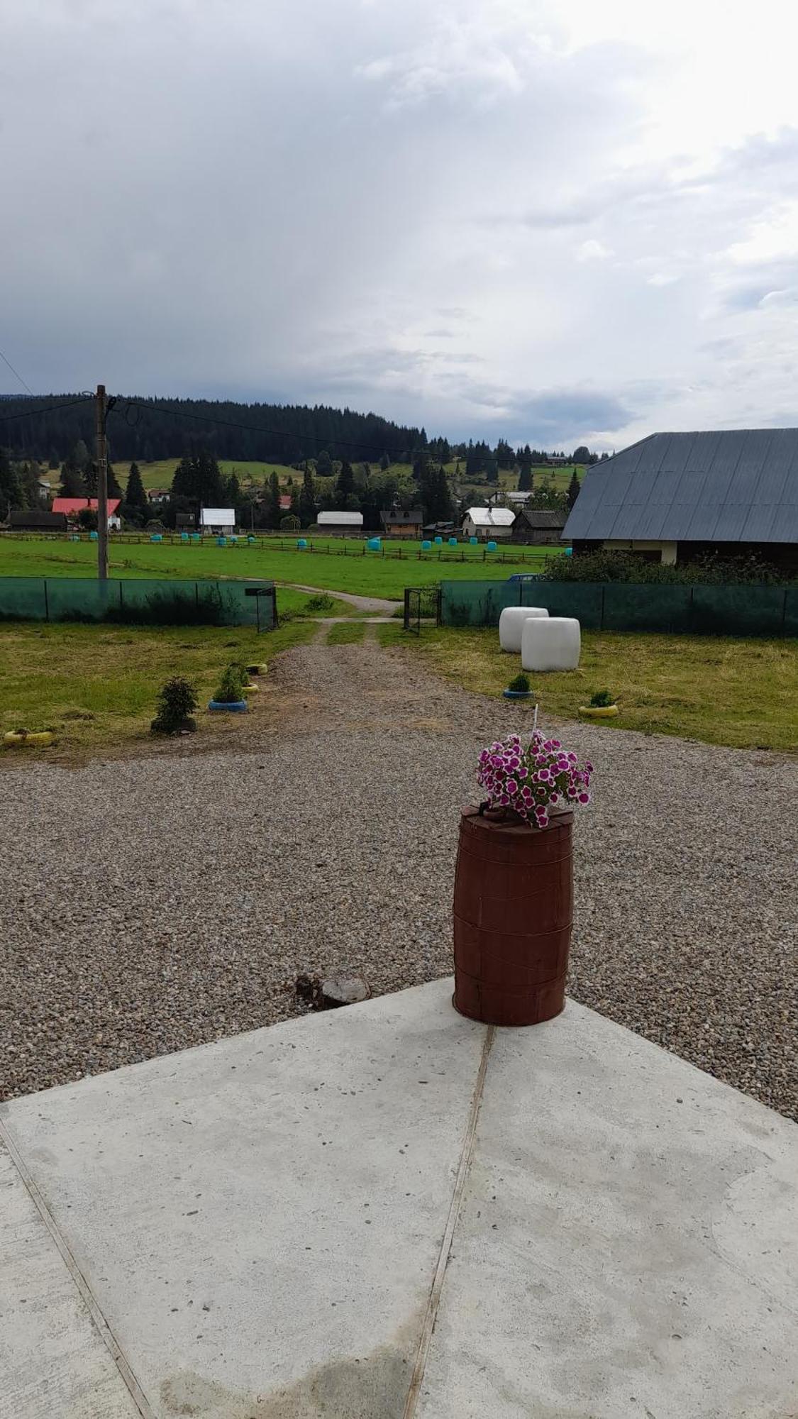 Casa Abp Villa Vatra Dornei Buitenkant foto